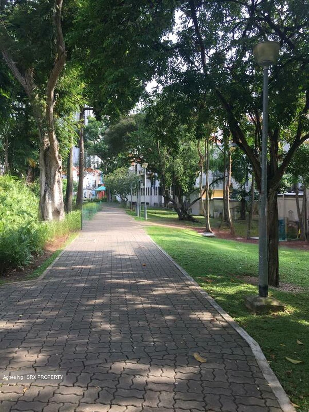 Sago Lane (D1), Detached #471934271
